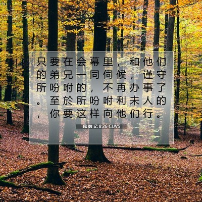 Picture 07 - 民 数 记 8:26 CUVS - 只 要 在 会 幕 里 ， 和 他 们 的 弟 - Bible Verse Picture