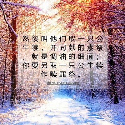 Picture 07 - 民 数 记 8:8 CUVS - 然 後 叫 他 们 取 一 只 公 牛 犊 ， - Bible Verse Picture
