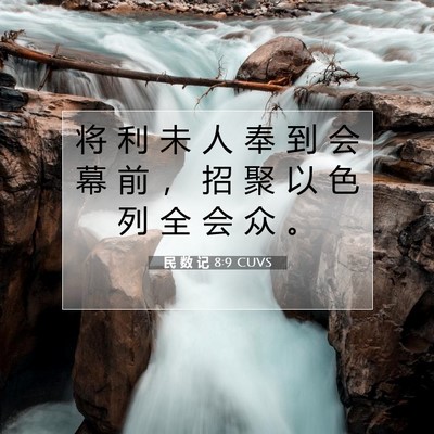 Picture 07 - 民 数 记 8:9 CUVS - 将 利 未 人 奉 到 会 幕 前 ， 招 聚 - Bible Verse Picture