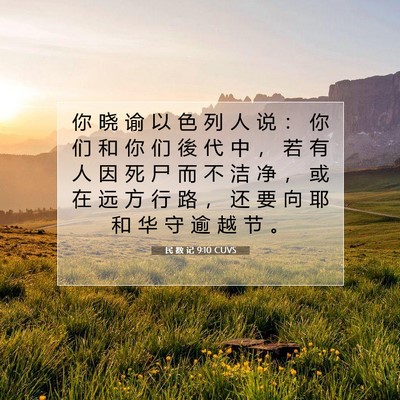 Picture 07 - 民 数 记 9:10 CUVS - 你 晓 谕 以 色 列 人 说 ： 你 们 和 - Bible Verse Picture