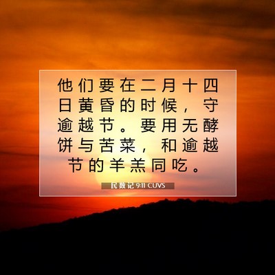 Picture 07 - 民 数 记 9:11 CUVS - 他 们 要 在 二 月 十 四 日 黄 昏 的 - Bible Verse Picture