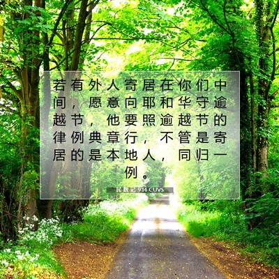 Picture 07 - 民 数 记 9:14 CUVS - 若 有 外 人 寄 居 在 你 们 中 间 ， - Bible Verse Picture