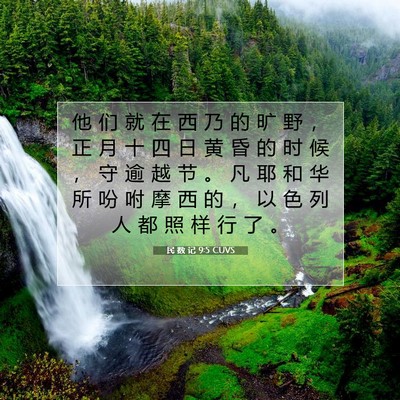 Picture 07 - 民 数 记 9:5 CUVS - 他 们 就 在 西 乃 的 旷 野 ， 正 月 - Bible Verse Picture