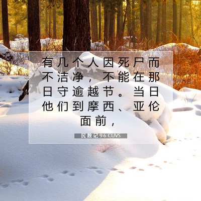 Picture 07 - 民 数 记 9:6 CUVS - 有 几 个 人 因 死 尸 而 不 洁 净 ， - Bible Verse Picture