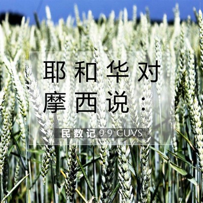 Picture 07 - 民 数 记 9:9 CUVS - 耶 和 华 对 摩 西 说 - Bible Verse Picture