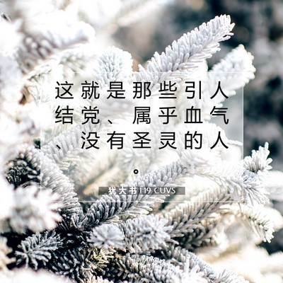 Picture 07 - 犹 大 书 1:19 CUVS - 这 就 是 那 些 引 人 结 党 、 属 乎 - Bible Verse Picture