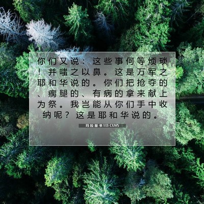 Picture 07 - 玛 拉 基 书 1:13 CUVS - 你 们 又 说 ： 这 些 事 何 等 烦 琐 - Bible Verse Picture