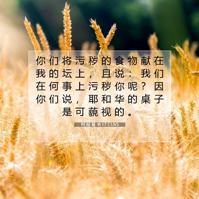 Picture 07 - 玛 拉 基 书 1:7 CUVS - 你 们 将 污 秽 的 食 物 献 在 我 的 - Bible Verse Picture
