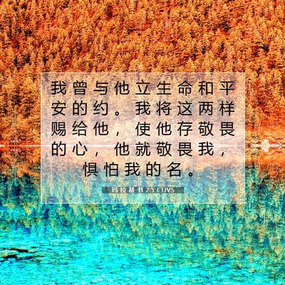 Picture 07 - 玛 拉 基 书 2:5 CUVS - 我 曾 与 他 立 生 命 和 平 安 的 约 - Bible Verse Picture