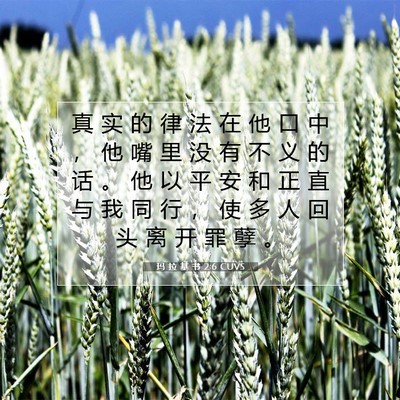 Picture 07 - 玛 拉 基 书 2:6 CUVS - 真 实 的 律 法 在 他 口 中 ， 他 嘴 - Bible Verse Picture