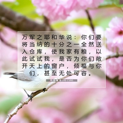 Picture 07 - 玛 拉 基 书 3:10 CUVS - 万 军 之 耶 和 华 说 ： 你 们 要 将 - Bible Verse Picture