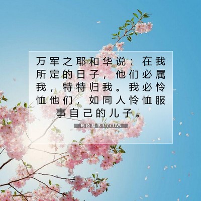 Picture 07 - 玛 拉 基 书 3:17 CUVS - 万 军 之 耶 和 华 说 ： 在 我 所 定 - Bible Verse Picture