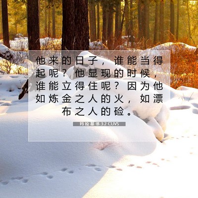 Picture 07 - 玛 拉 基 书 3:2 CUVS - 他 来 的 日 子 ， 谁 能 当 得 起 呢 - Bible Verse Picture