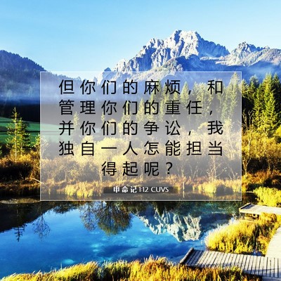 Picture 07 - 申 命 记 1:12 CUVS - 但 你 们 的 麻 烦 ， 和 管 理 你 们 - Bible Verse Picture