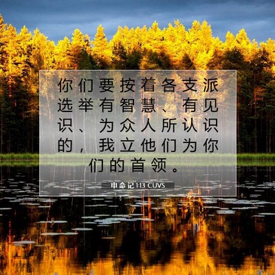 Picture 07 - 申 命 记 1:13 CUVS - 你 们 要 按 着 各 支 派 选 举 有 智 - Bible Verse Picture