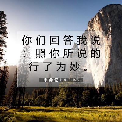 Picture 07 - 申 命 记 1:14 CUVS - 你 们 回 答 我 说 ： 照 你 所 说 的 - Bible Verse Picture