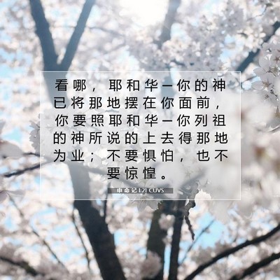 Picture 07 - 申 命 记 1:21 CUVS - 看 哪 ， 耶 和 华 ─ 你 的 神 已 将 - Bible Verse Picture