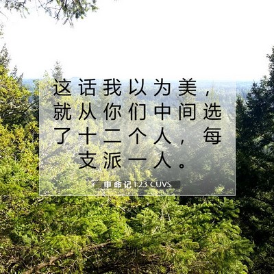 Picture 07 - 申 命 记 1:23 CUVS - 这 话 我 以 为 美 ， 就 从 你 们 中 - Bible Verse Picture