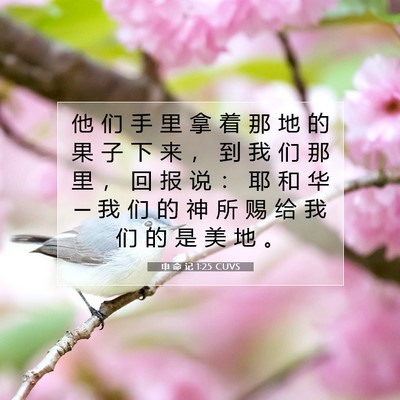 Picture 07 - 申 命 记 1:25 CUVS - 他 们 手 里 拿 着 那 地 的 果 子 下 - Bible Verse Picture