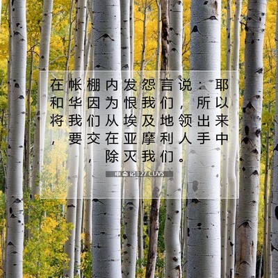 Picture 07 - 申 命 记 1:27 CUVS - 在 帐 棚 内 发 怨 言 说 ： 耶 和 华 - Bible Verse Picture
