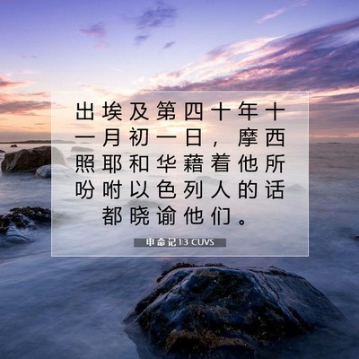 Picture 07 - 申 命 记 1:3 CUVS - 出 埃 及 第 四 十 年 十 一 月 初 一 - Bible Verse Picture