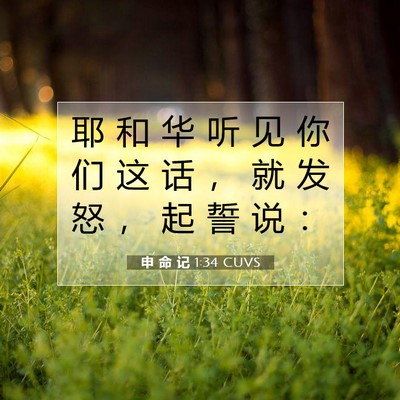 Picture 07 - 申 命 记 1:34 CUVS - 耶 和 华 听 见 你 们 这 话 ， 就 发 - Bible Verse Picture