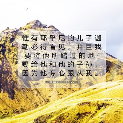 Picture 07 - 申 命 记 1:36 CUVS - 惟 有 耶 孚 尼 的 儿 子 迦 勒 必 得 - Bible Verse Picture