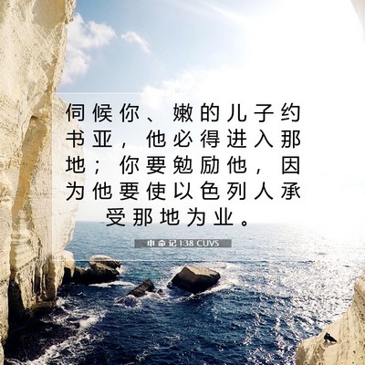 Picture 07 - 申 命 记 1:38 CUVS - 伺 候 你 、 嫩 的 儿 子 约 书 亚 ， - Bible Verse Picture