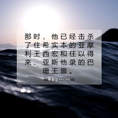 Picture 07 - 申 命 记 1:4 CUVS - 那 时 ， 他 已 经 击 杀 了 住 希 实 - Bible Verse Picture