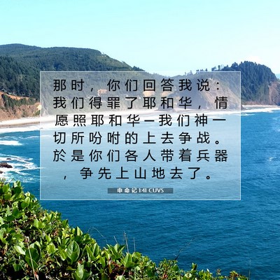 Picture 07 - 申 命 记 1:41 CUVS - 那 时 ， 你 们 回 答 我 说 ： 我 们 - Bible Verse Picture