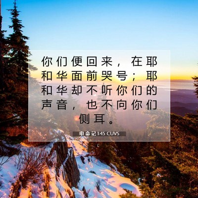 Picture 07 - 申 命 记 1:45 CUVS - 你 们 便 回 来 ， 在 耶 和 华 面 前 - Bible Verse Picture