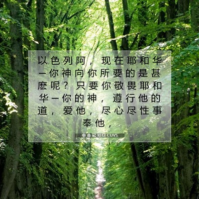 Picture 07 - 申 命 记 10:12 CUVS - 以 色 列 阿 ， 现 在 耶 和 华 ─ 你 - Bible Verse Picture