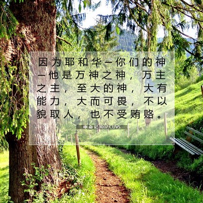Picture 07 - 申 命 记 10:17 CUVS - 因 为 耶 和 华 ─ 你 们 的 神 ─ 他 - Bible Verse Picture