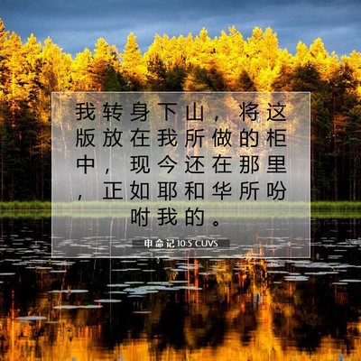 Picture 07 - 申 命 记 10:5 CUVS - 我 转 身 下 山 ， 将 这 版 放 在 我 - Bible Verse Picture