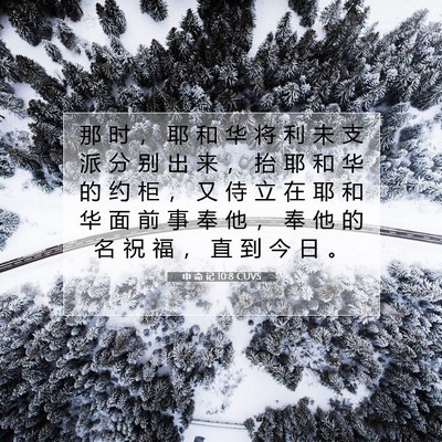 Picture 07 - 申 命 记 10:8 CUVS - 那 时 ， 耶 和 华 将 利 未 支 派 分 - Bible Verse Picture