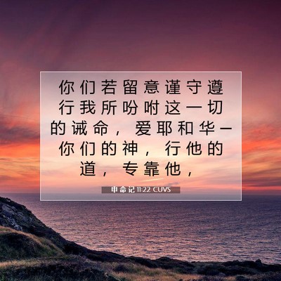 Picture 07 - 申 命 记 11:22 CUVS - 你 们 若 留 意 谨 守 遵 行 我 所 吩 - Bible Verse Picture