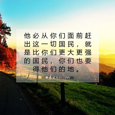 Picture 07 - 申 命 记 11:23 CUVS - 他 必 从 你 们 面 前 赶 出 这 一 切 - Bible Verse Picture