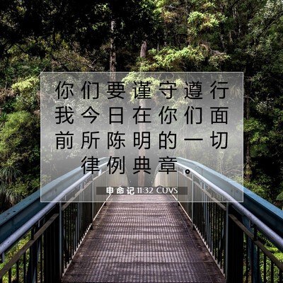 Picture 07 - 申 命 记 11:32 CUVS - 你 们 要 谨 守 遵 行 我 今 日 在 你 - Bible Verse Picture