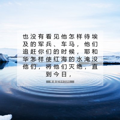 Picture 07 - 申 命 记 11:4 CUVS - 也 没 有 看 见 他 怎 样 待 埃 及 的 - Bible Verse Picture