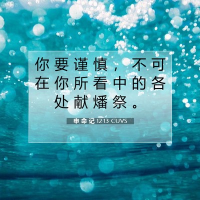 Picture 07 - 申 命 记 12:13 CUVS - 你 要 谨 慎 ， 不 可 在 你 所 看 中 - Bible Verse Picture
