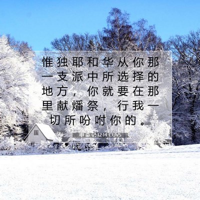 Picture 07 - 申 命 记 12:14 CUVS - 惟 独 耶 和 华 从 你 那 一 支 派 中 - Bible Verse Picture