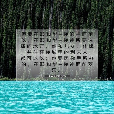 Picture 07 - 申 命 记 12:18 CUVS - 但 要 在 耶 和 华 ─ 你 的 神 面 前 - Bible Verse Picture