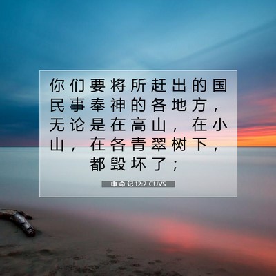 Picture 07 - 申 命 记 12:2 CUVS - 你 们 要 将 所 赶 出 的 国 民 事 奉 - Bible Verse Picture