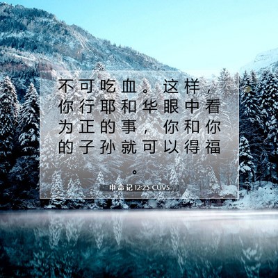 Picture 07 - 申 命 记 12:25 CUVS - 不 可 吃 血 。 这 样 ， 你 行 耶 和 - Bible Verse Picture