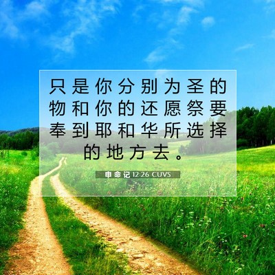 Picture 07 - 申 命 记 12:26 CUVS - 只 是 你 分 别 为 圣 的 物 和 你 的 - Bible Verse Picture
