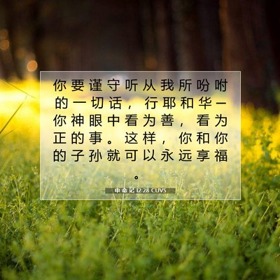 Picture 07 - 申 命 记 12:28 CUVS - 你 要 谨 守 听 从 我 所 吩 咐 的 一 - Bible Verse Picture