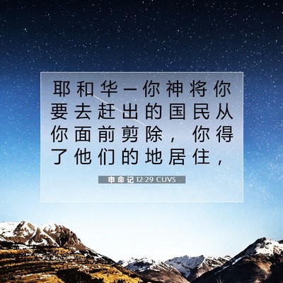 Picture 07 - 申 命 记 12:29 CUVS - 耶 和 华 ─ 你 神 将 你 要 去 赶 出 - Bible Verse Picture