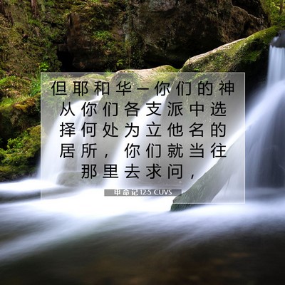 Picture 07 - 申 命 记 12:5 CUVS - 但 耶 和 华 ─ 你 们 的 神 从 你 们 - Bible Verse Picture