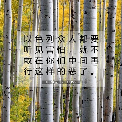 Picture 07 - 申 命 记 13:11 CUVS - 以 色 列 众 人 都 要 听 见 害 怕 ， - Bible Verse Picture