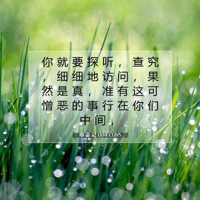 Picture 07 - 申 命 记 13:14 CUVS - 你 就 要 探 听 ， 查 究 ， 细 细 地 - Bible Verse Picture